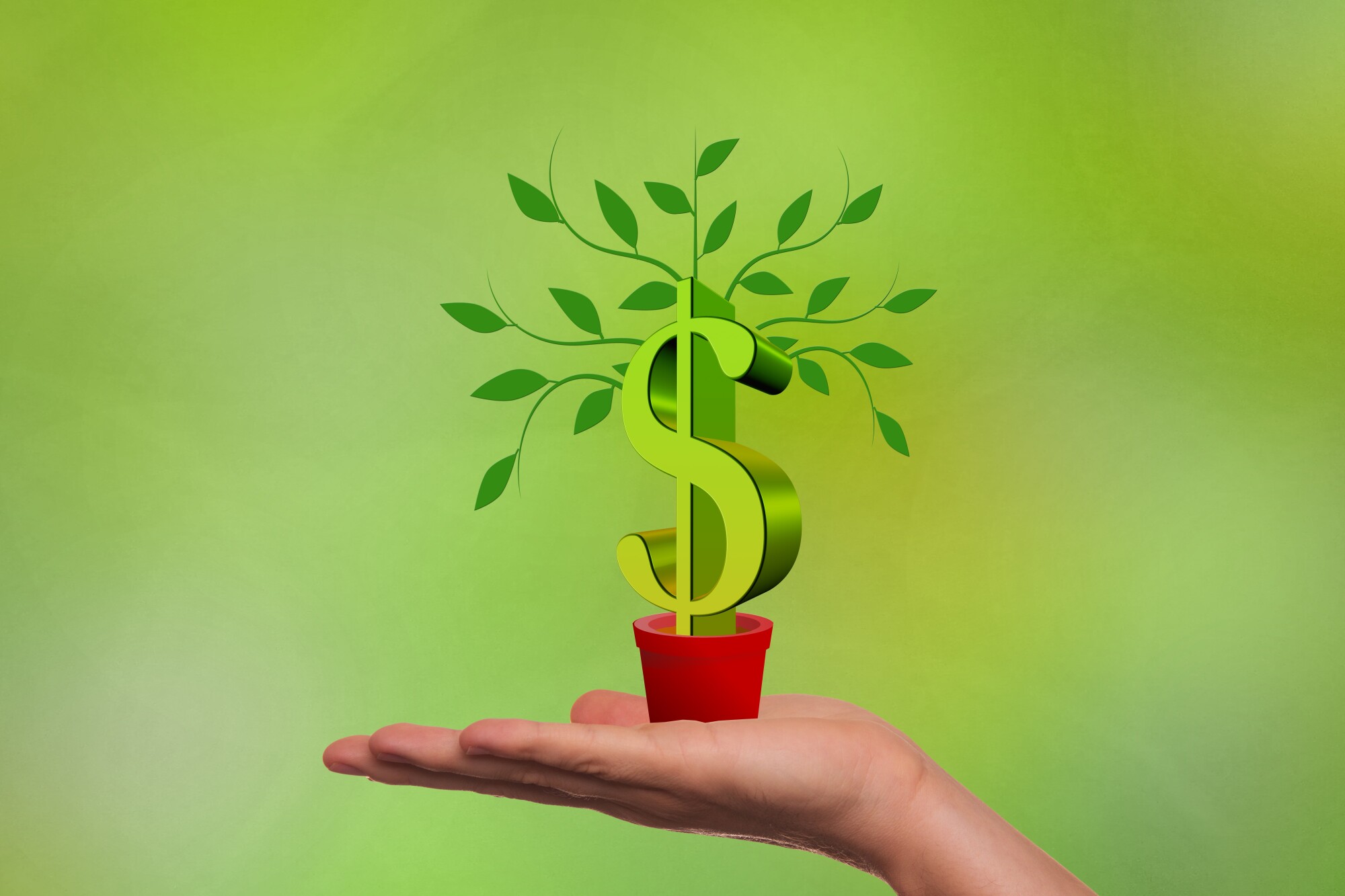 5 Signs Your Business Could Benefit From Growth Capital Services